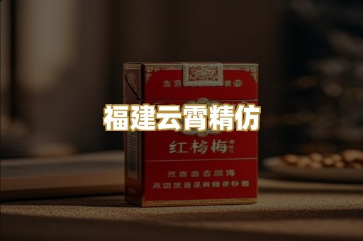 福建云霄精仿